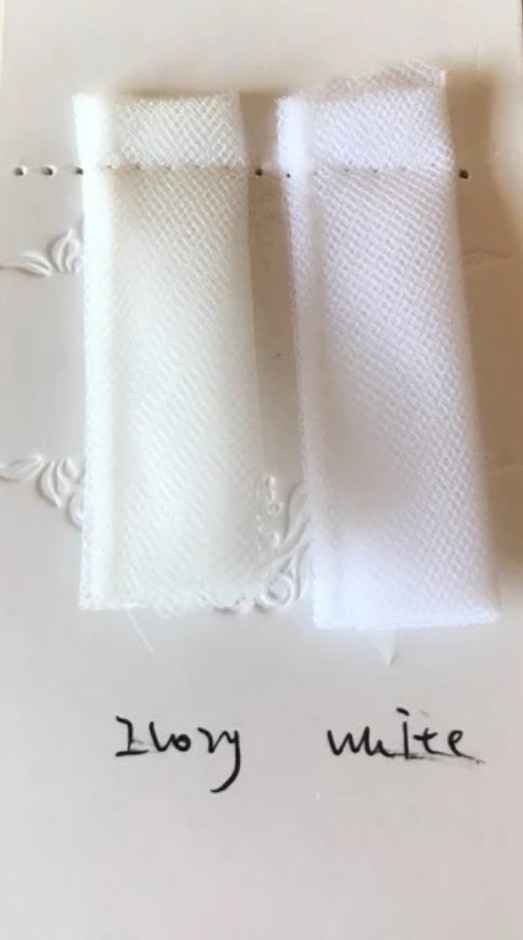  Llegó mi velo/mantilla - 1