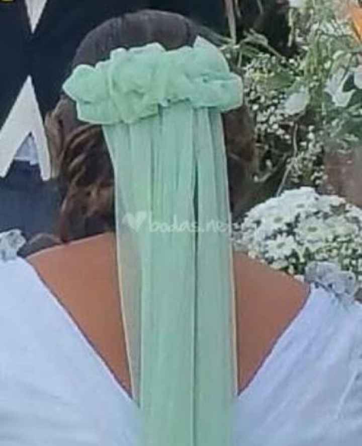  Velos en 💚 - 3