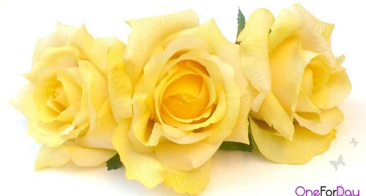  Tocados con flores 🌻💛 - 6