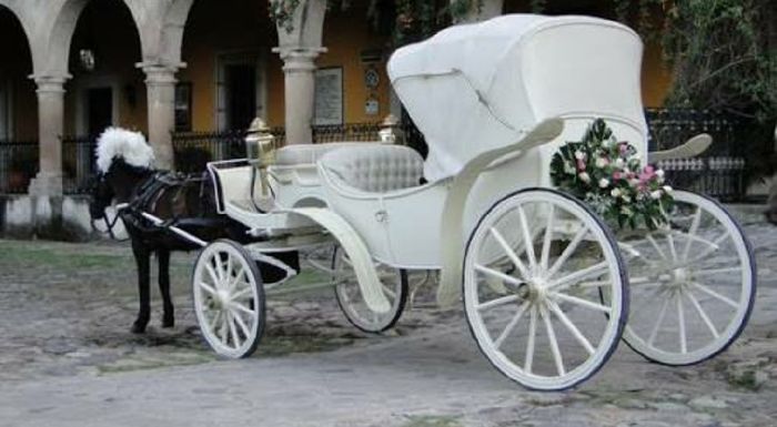 Carruajes - 8