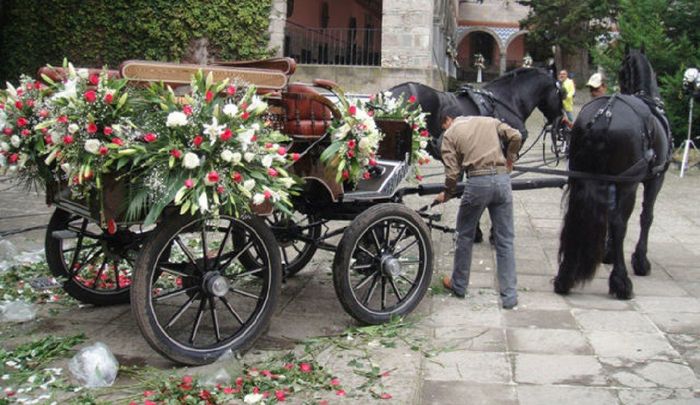 Carruajes - 9