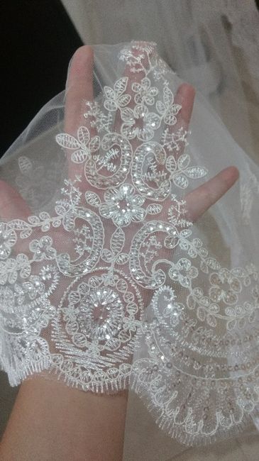  Llegó mi velo/mantilla - 2