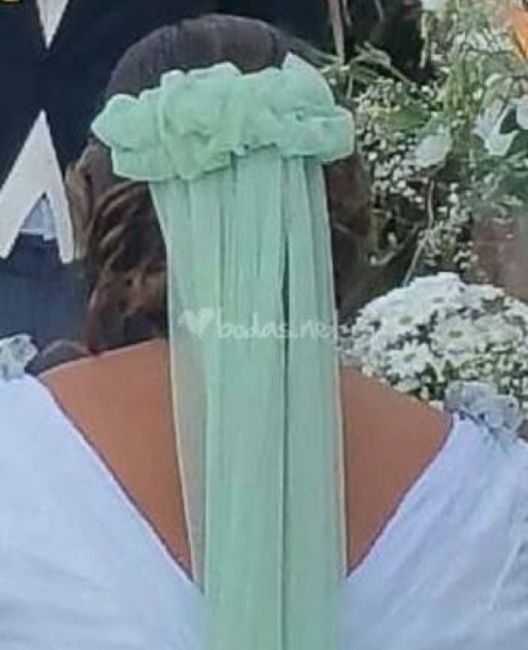  Velos en 💚 - 3
