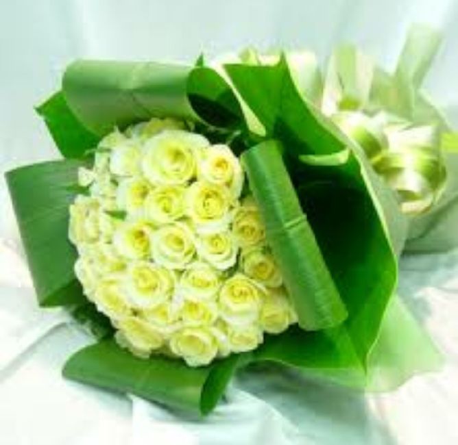  Ramos en color verde 💚 - 7