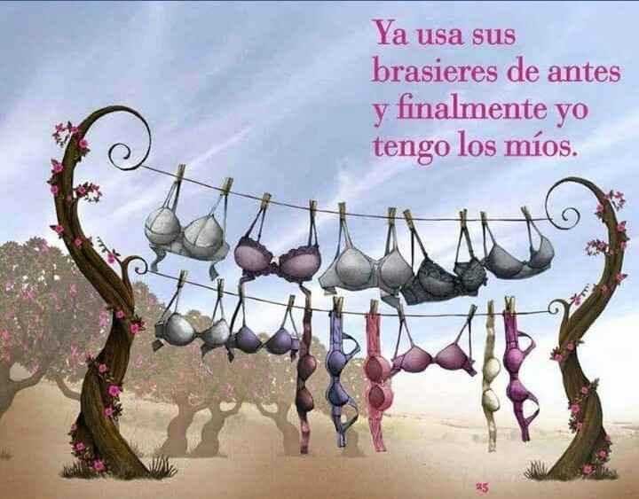 Una historia... rosa - 13
