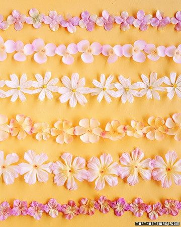 Tiras de diferentes flores