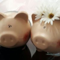 Puerquitos en lugar de zapatilla - 1