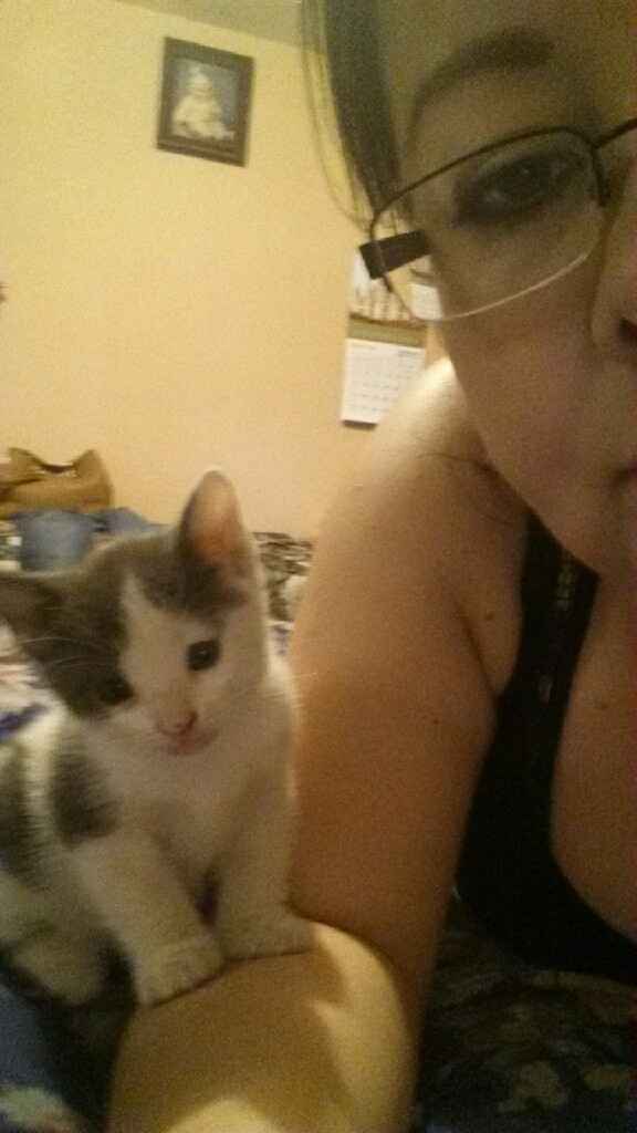Bodas y ... gatos?? - 1