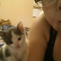 Bodas y ... gatos?? - 1