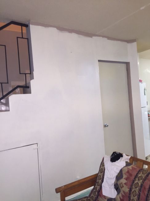 Pintando el nuevo hogar - 2