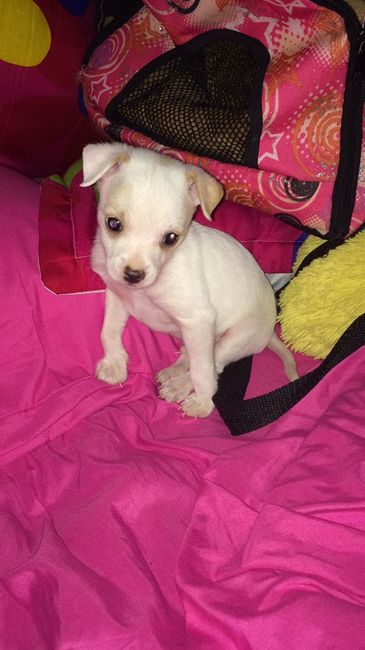 Porque son parte de la familia... - 1