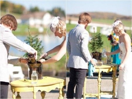 plantar un arbol