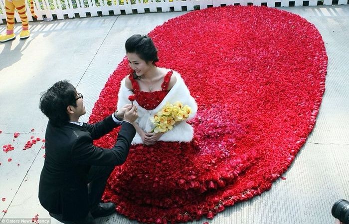 Propone matrimonio a su novia con un vestido hecho de 9999 rosas