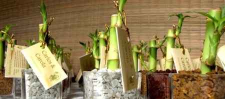 boda ecologica