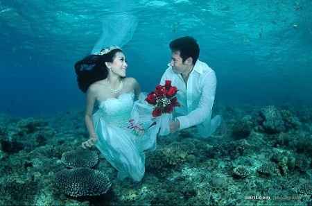 bodas