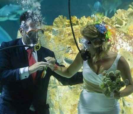bodas