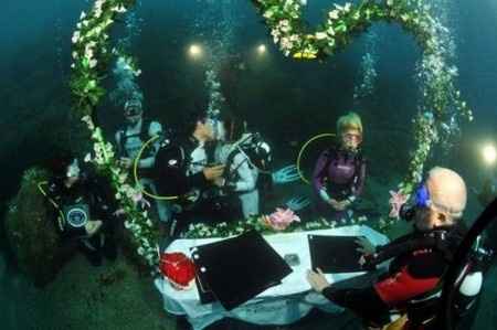 bodas