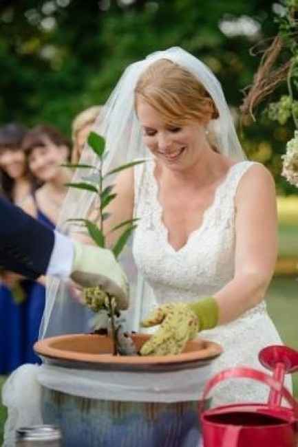 plantar un arbol