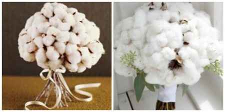 ramos de algodon