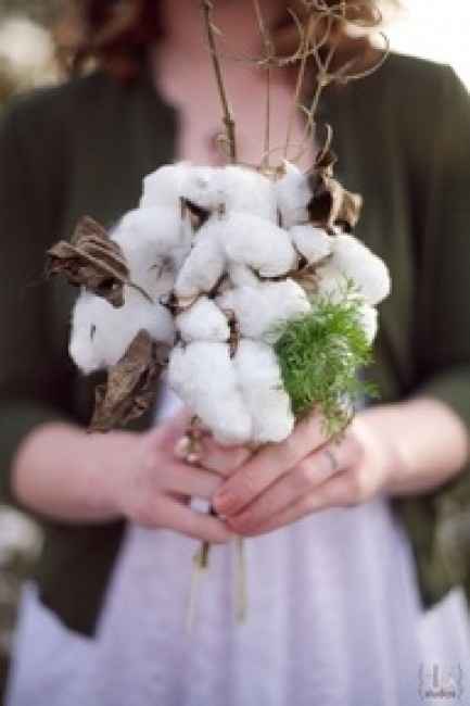 ramo de algodon