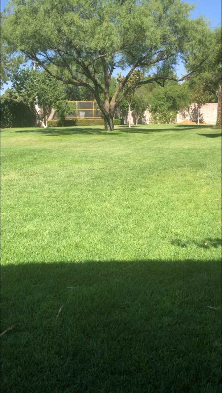 Enamorada del jardín y la decoración - 1