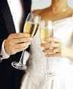 brindis