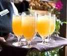 brindis