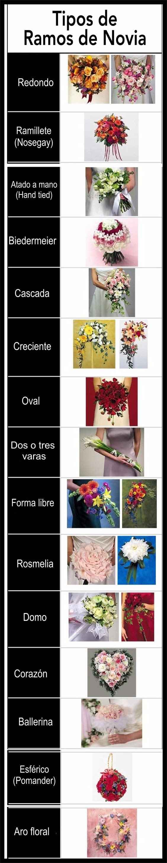 TIPOS DE RAMOS 
