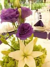 MORADO CON AMARILLO 