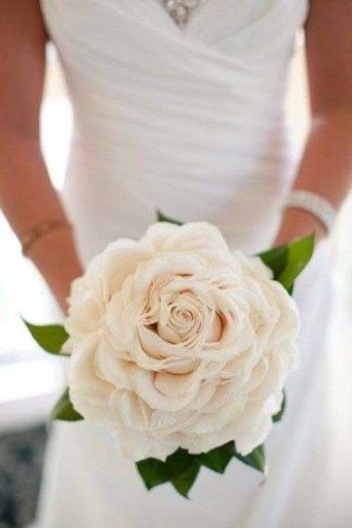 UNA FLOR PARA RAMO 