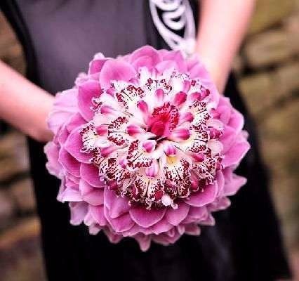 UNA FLOR PARA RAMO 