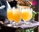 brindis