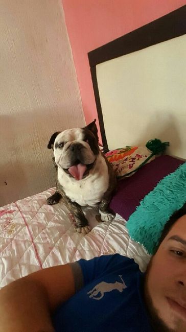 Un invitado muuuuy especial - 1