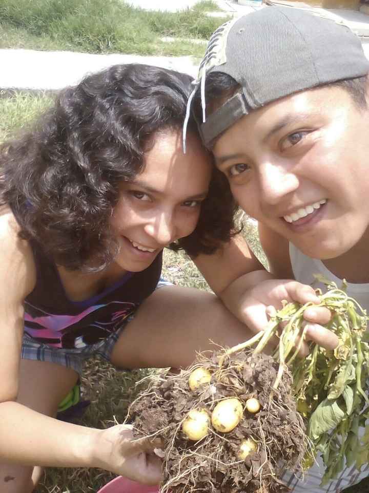 nosotros cosechando