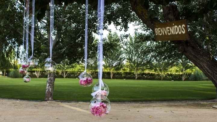Decoración jardín