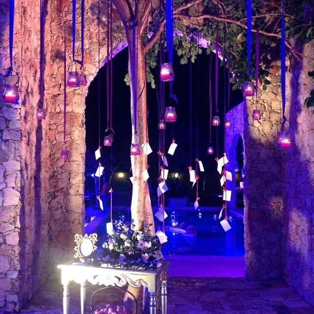 Árbol de los deseos 4