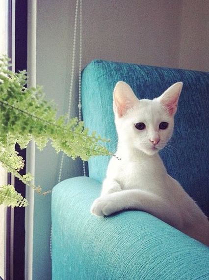  Me presento 🌸 - 6