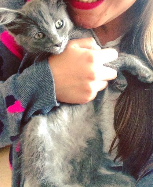  Me presento 🌸 - 7