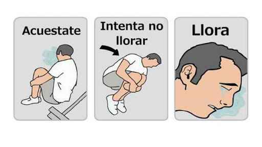 Todo era risas hasta que... 💔 - 1