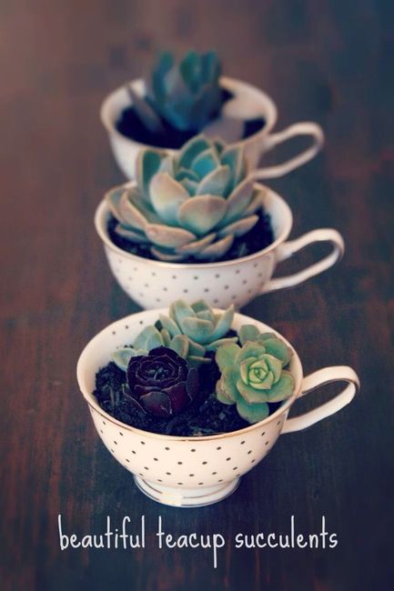  Recuerditos útiles ✨ - 5