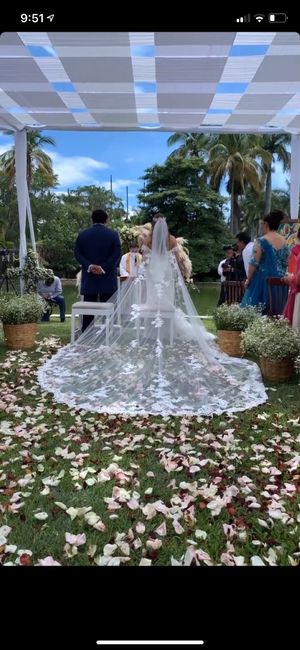 Velo largo o cola larga? 3