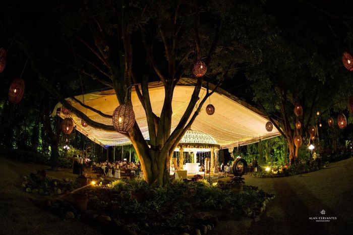 Organización de boda 25