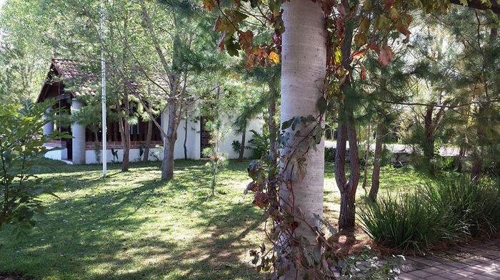 AL AIRE LIBRE