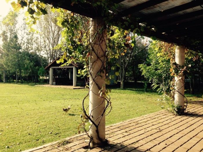 ME ENCANTARIA MI MESA ALLI EN MEDIO DE LAS COLUMNAS