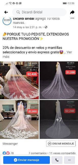 Velo de novia 4