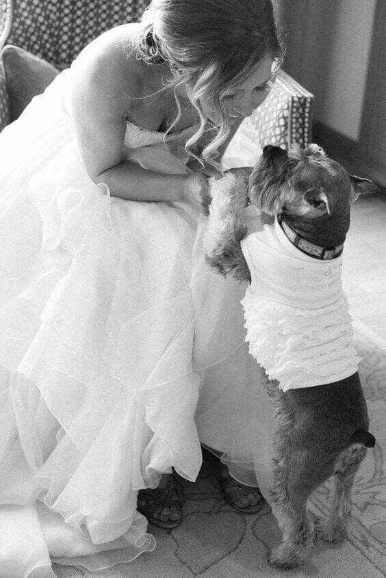 Mascotas en la boda ? si! - 1
