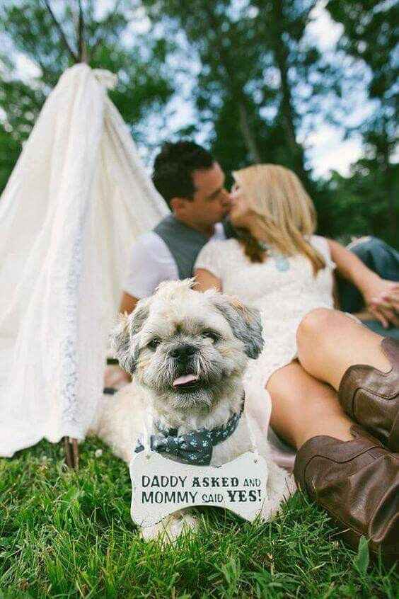 Mascotas en la boda ? si! - 4