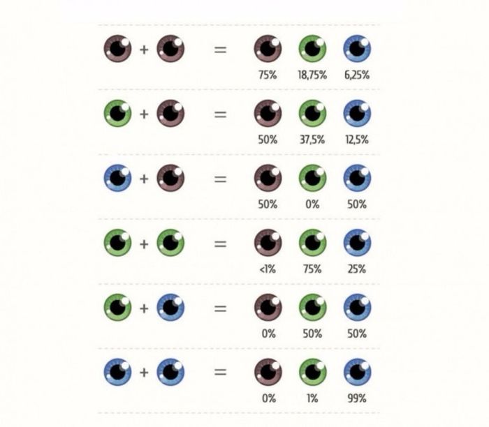 ¿De qué color tendrán los ojos tus hijos? 1