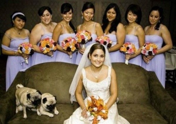 Malas fotos en la boda - situaciones graciosas 📷 1