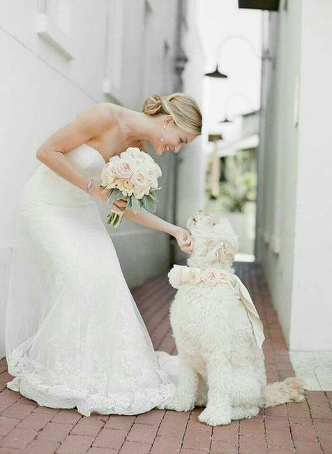 Día de los animales